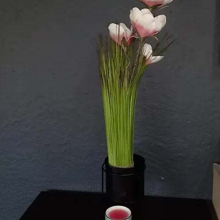 éden - Metz Nord - - Porte Du Luxembourg - A31 Hotel