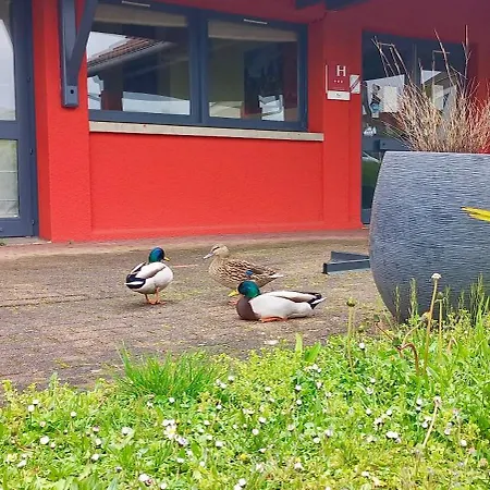 Hotel éden - Metz Nord - - Porte Du Luxembourg - A31 3*